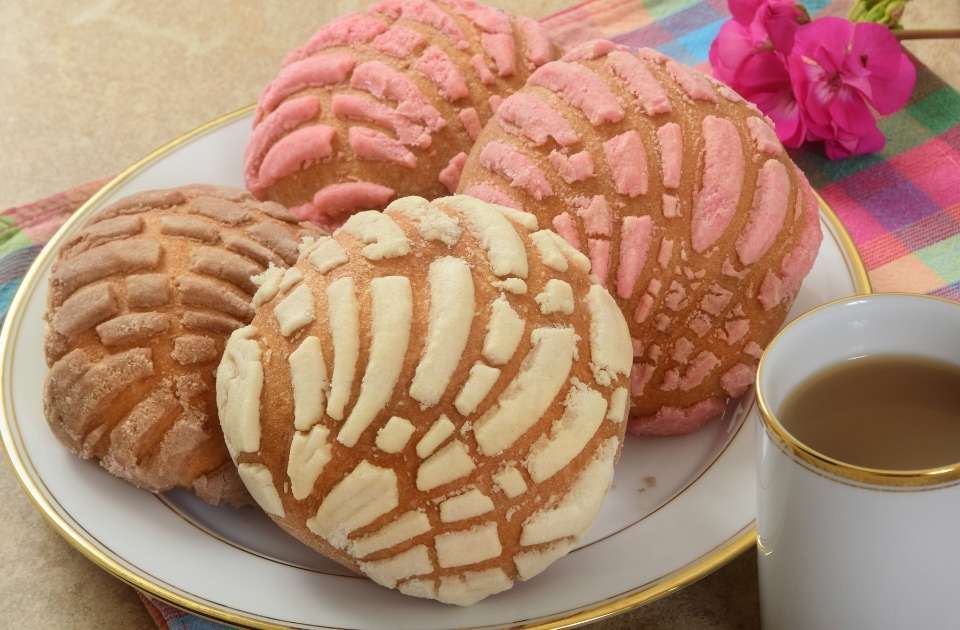 conchas_gourmet_